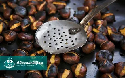 Nuts Chestnut előnyei és hátrányai a nyalánkság (gesztenye javára kár) Nuts Chestnut előnyei és hátrányai a nyalánkság