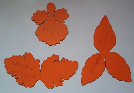orchideák szövet