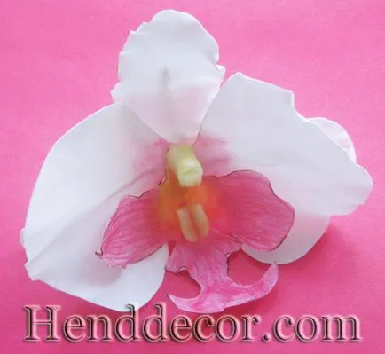 Orchid szövetből készült - egy kaleidoszkóp dekor (szövet) Orchid szövet - dekoráció kaleidoszkóp