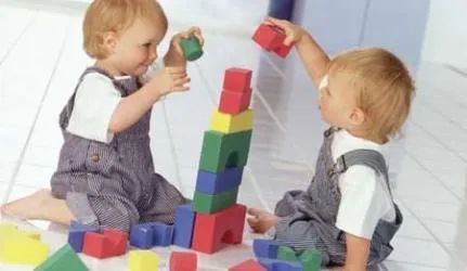 Jellemzői a fejlesztési ikrek