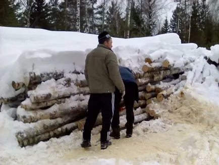 Különösen akkor, ha kiválasztja a fa - jó tanácsot és ajánlásokat