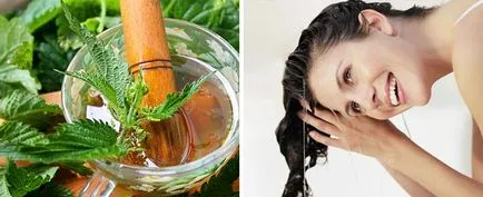 Húsleves csalán Hair - receptek öblítés (haj főzet csalán) Húsleves csalán Hair - receptek öblítés