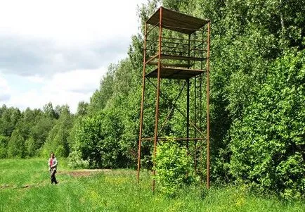 vaddisznóskertekben a tornyok gyakorlati tanácsokat