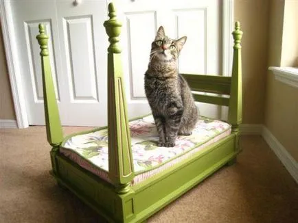 Pet Hotels