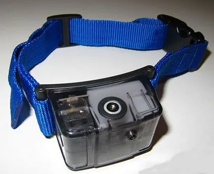 Elfelejt kutya ugat gallér Antila - dogcollar - lőszer és kiegészítők kutyáknak