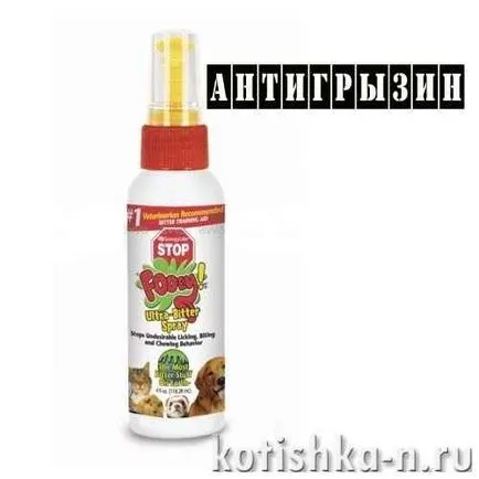 Rovarriasztó spray macskáknak, a felülvizsgálat a modern eszközök - az állatvilágban