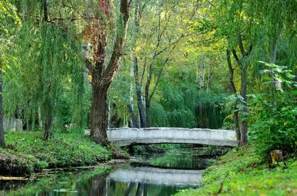 Park dinamó, Voronyezs (történelem, rajz) (dinamó) Park dinamó, Voronyezs (történelem, rajz)