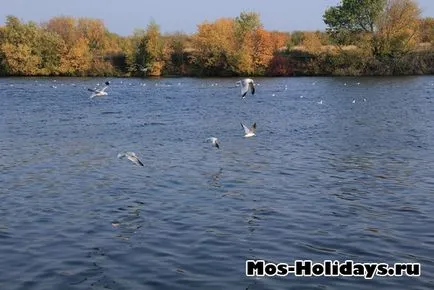 Park Estate Kolomenskoye áramkör, fotó, cím, hogyan lehet eljutni a metrón