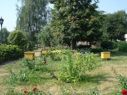 Park Estate Kolomenskoye áramkör, fotó, cím, hogyan lehet eljutni a metrón