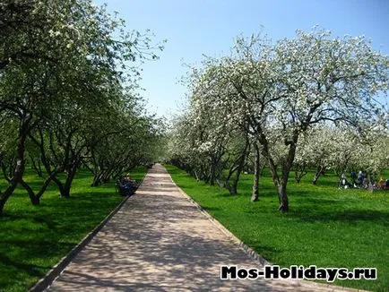 Park Estate Kolomenskoye áramkör, fotó, cím, hogyan lehet eljutni a metrón
