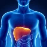 Az első jelei és tünetei a stroke és a szívroham a nők elsősegély kezelést (tünetek) Az első jelek és tünetek a stroke és a szívroham nőknél elsősegélynyújtás