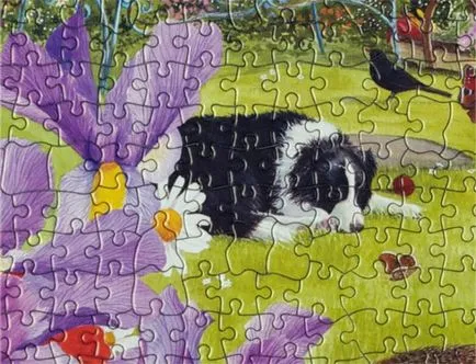 Puzzle - ez a kreatív és intellektuális érdeklődés (puzzle) Puzzle - ez a kreatív és intellektuális hobbi
