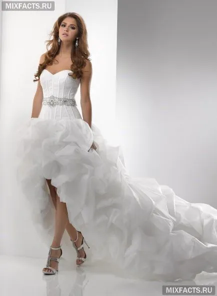 Dress egy vonat (fotó)
