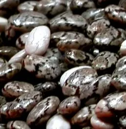 chia
