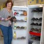 Miért piros fülű csúszkák nem eszik, vagy eszik keveset