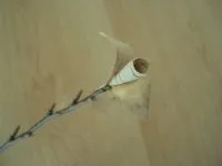 Kézműves készült nyírfakéreg kezüket 1