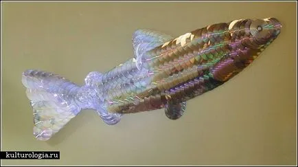 Kézműves lemezek saját kezűleg