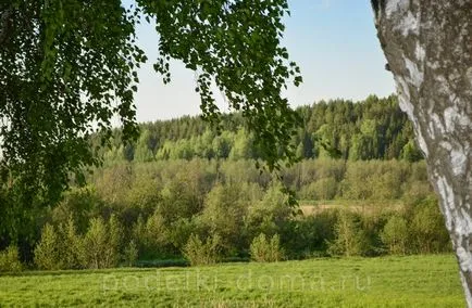 Kézműves készült nyírfakéreg (technika és mesterkurzusok), egy doboz ötletek és műhelyek