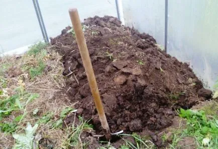 Talaj az uborka az üvegházban