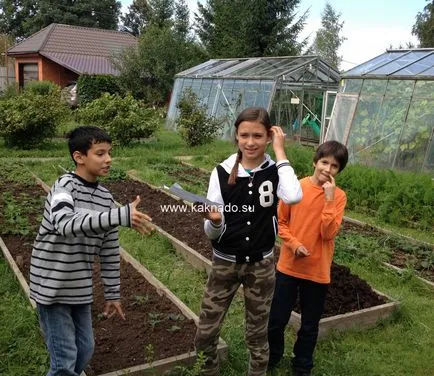 Ajándék kereső ház a megjegyzés, mint kellene (faház) Ajándék kereső ház a megjegyzés, mint kellene