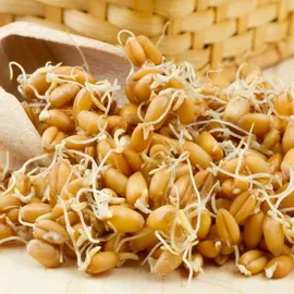 Az előnyök a vitaminok az emberi szervezet számára, amely a vitaminok jók a szív és az erek (a test) Az előnyök a vitaminok az emberi szervezet számára, amely a vitaminok jók a szív és az erek