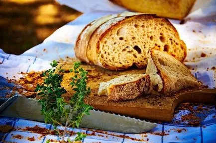 Tippek a szerencsés tulajdonosok a mikrohullámú (hasznos) Tippek a szerencsés tulajdonosok a mikrohullámú