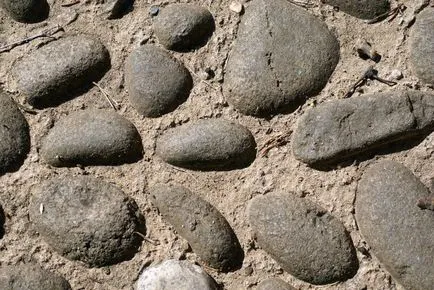 Nem, mint pincében, hogy töltse ki a saját kezét, hogy mi a teendő, mit kell, hogy tud, vagy nem (töltse ki) Nem, mint pincében, hogy töltse ki a saját kezét, hogy mi a teendő, mit kell, hogy tud, vagy nem lehet