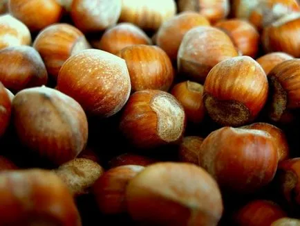 Hasznos tulajdonságai dió mogyoró, levelek, kagylók, ellenjavallatok (mogyoró) Hasznos tulajdonságai dió mogyoró, levelek, kagylók, ellenjavallatok