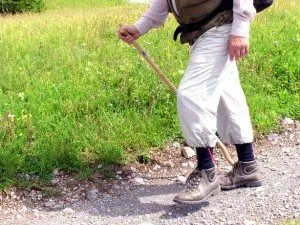 Posztoperatív időszakban a műtét során vénákban (vénák) A posztoperatív időszakban a művelet során a vénákban