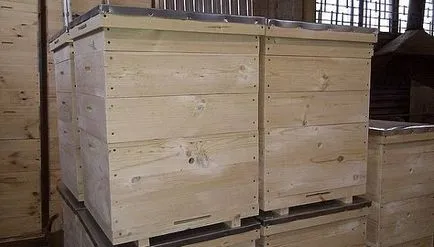 Nyilatkozat a második épület a kaptár és videó leírása