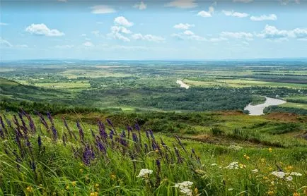 Ültetés tulipán ősszel, mikor és milyen a növény izzók (hónap) (tulipán) Ültetés tulipán ősszel, mikor és milyen a növény izzók (hónap)