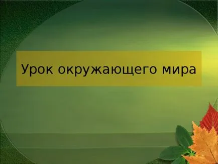 Az előadás a leckét a világ a témában - az emberi test