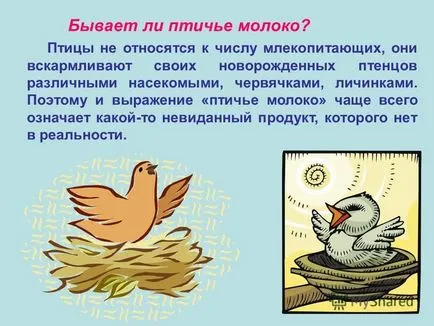 Bemutató hogyan madarakat pochemuchkiny kérdésekre mik a madarak