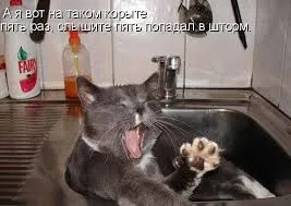 Vicces képek a macskák feliratokkal a funky (35 fotó) - vicces kép és humor