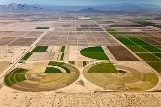 Természetes ökoszisztéma és agroökoszisztéma (ökoszisztéma) Természetes ökoszisztéma és agroökoszisztéma