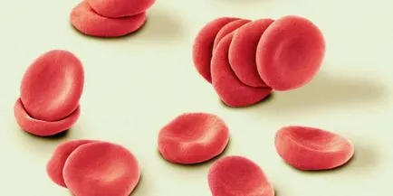 Termékek vasat tartalmazó nagy mennyiségben (vas) Termékek vasat tartalmazó nagy mennyiségben