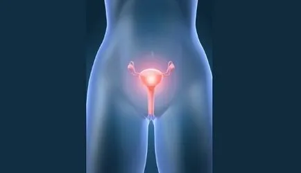 Az akne miatt hormonok hormonok befolyásolják a pattanások (hormonok) Az akne miatt hormonok hormonok befolyásolják a pattanások