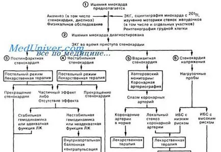 Angina kezelési irányelvek