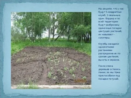 tereprendezés iskola honlapján projekt - Biológia, előadások