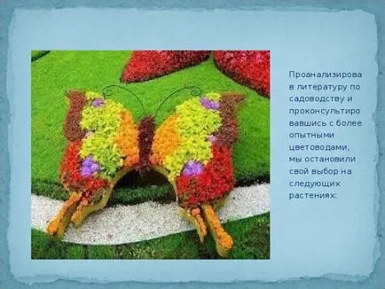 tereprendezés iskola honlapján projekt - Biológia, előadások