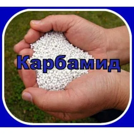 Alkalmazása a folyékony műtrágya, mint a karbamid-