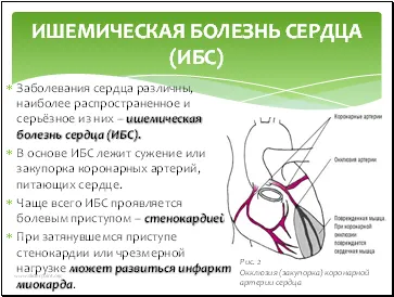 Kardiovaszkuláris betegség - bemutatása Medicine