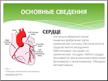 Kardiovaszkuláris betegség - bemutatása Medicine