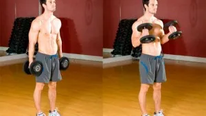 Cum de a construi programul de formare halteră gantera biceps și și cele mai bune exerciții
