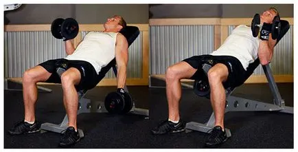 Cum de a construi programul de formare halteră gantera biceps și și cele mai bune exerciții