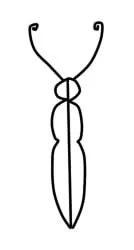 Cum de a desena un creion etape fluture, lessdraw
