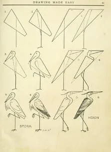 Cum de a desena etape Stork creion (Stork) Cum de a desena un creion etape barză
