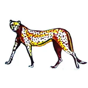 Cum să atragă un ghepard