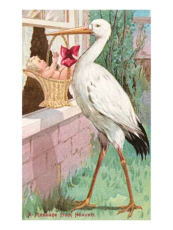 Cum de a desena un creion etape de barză (Stork desena un creion) Cum de a desena un creion etape barză