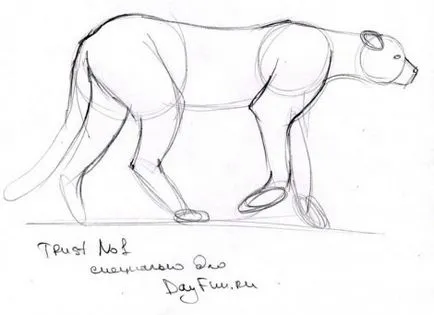 Cum de a desena un ghepard etape creion - lectii de desen - utile cu privire la artsphera